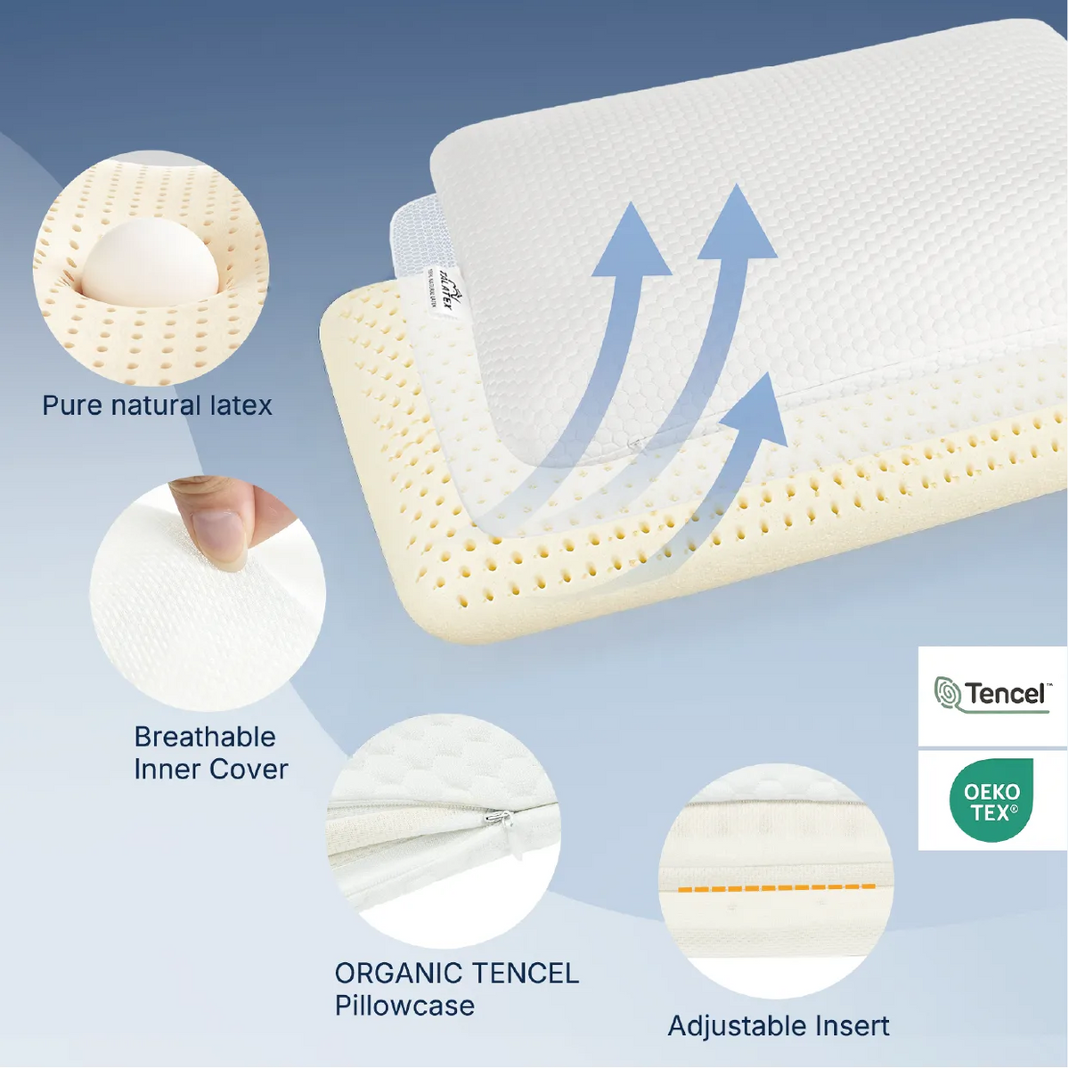 Flat Latex Pillow (Low profile)